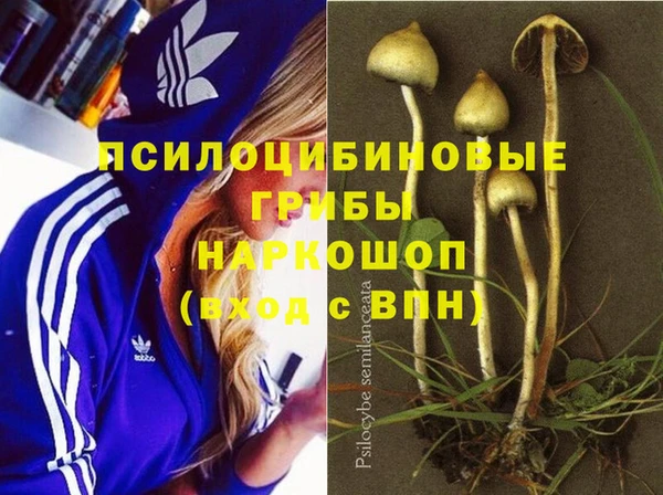 бошки Богданович